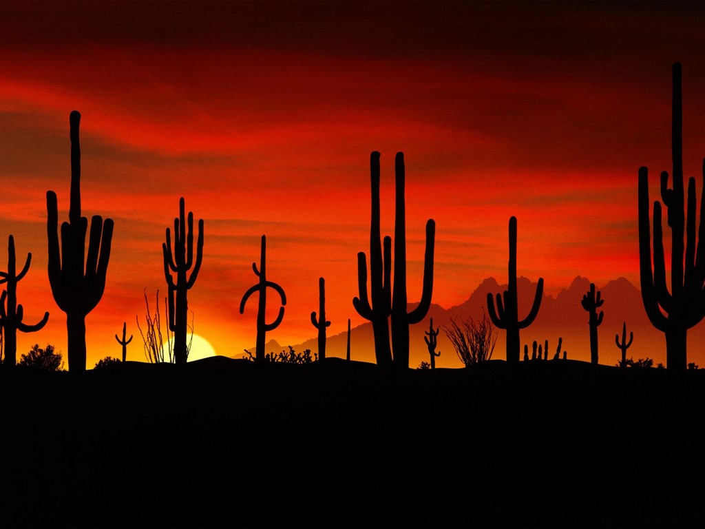 Sonoran Desert National Monument Followup Case