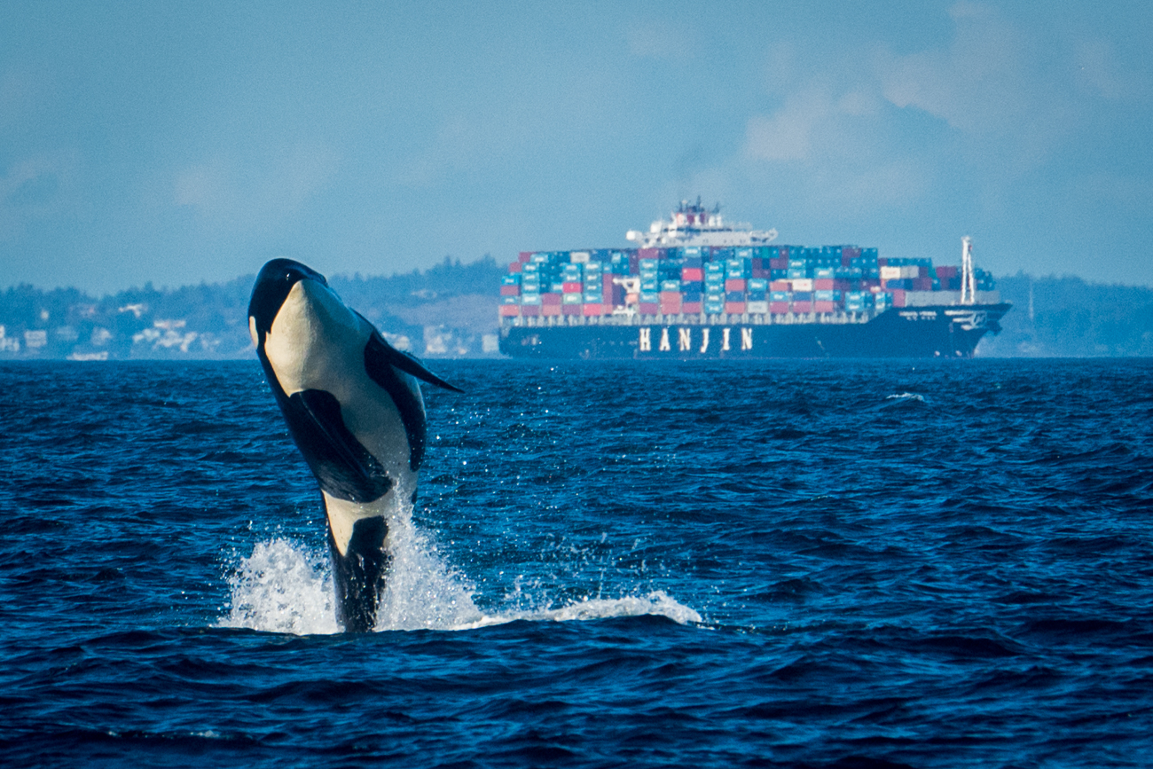 Of Orcas and Dams Advocates for the West