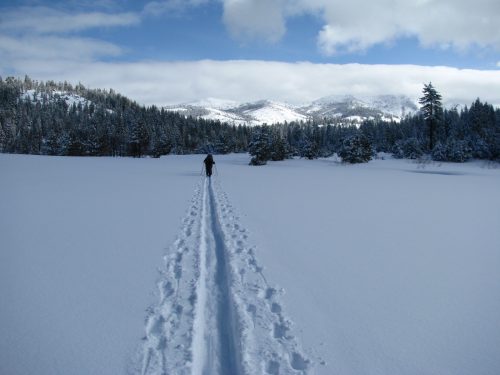 Snowmobile Use in California National Forests