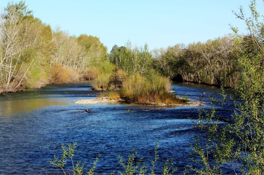 Boise River