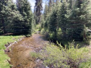 June 2021 photo of bull trout stream in the Upper Squaw Creek watershed
