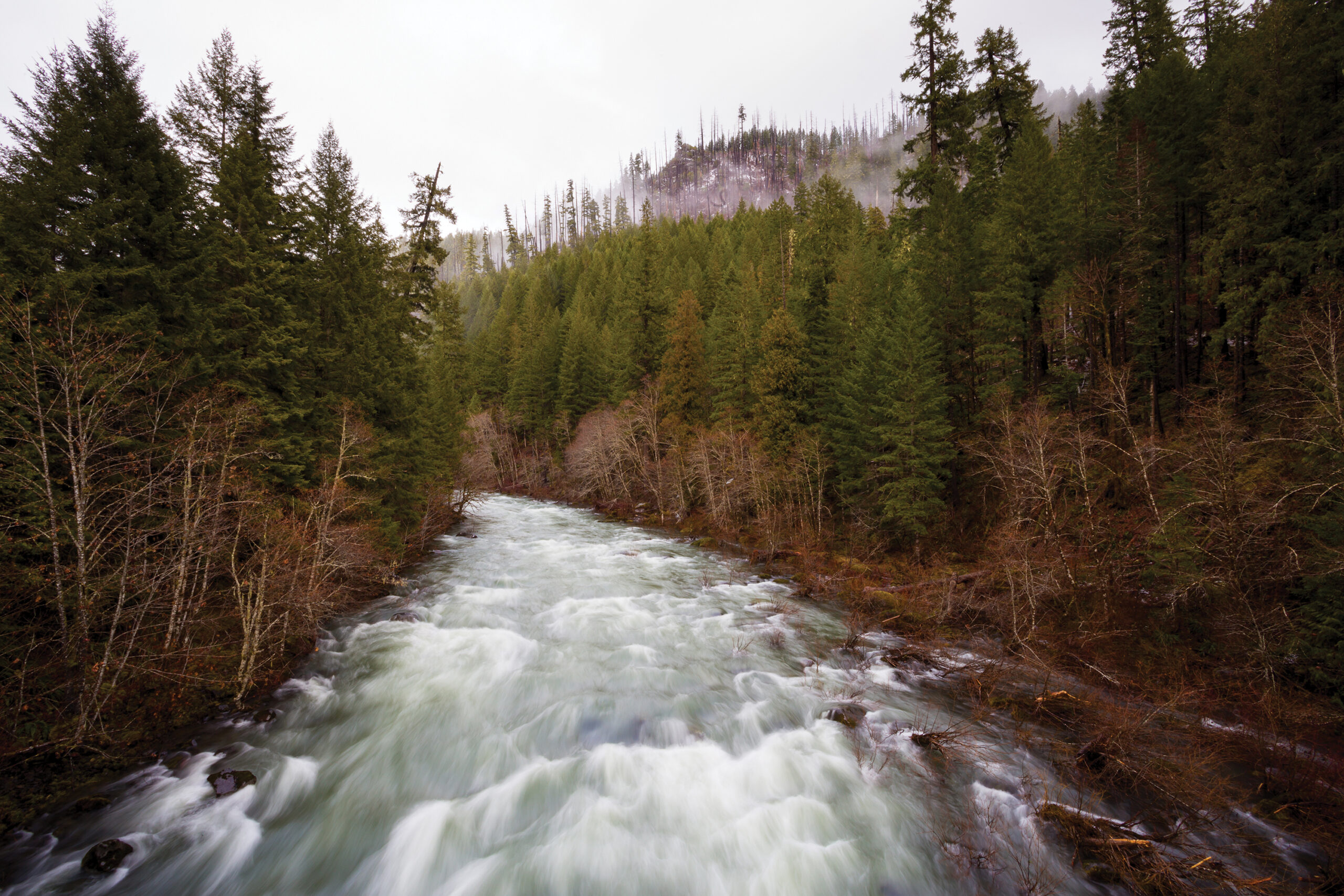 Willamette Basin Water Reallocation – Advocates for the West