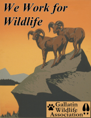 Gallatin Wildlife Association